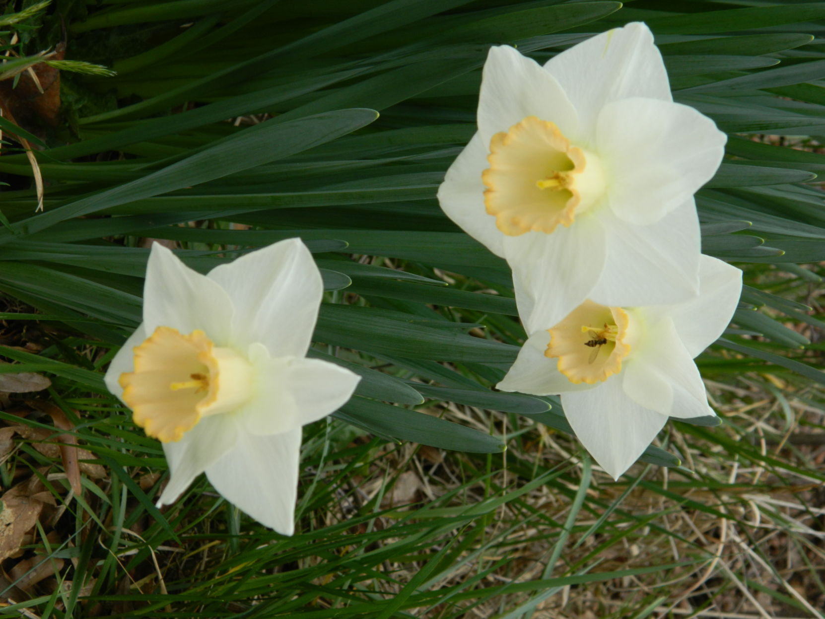 Spring photos (46).JPG